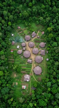 Aerial view of amazon village with traditional huts surrounded by green rainforest landscape