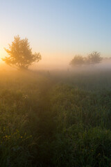 misty morning sunrise