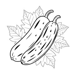 hand drawn vector illustration of an cucumber coloring page 