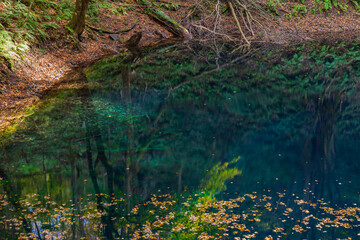 日本の風景・秋　世界遺産・白神山地　紅葉の十二湖　青池