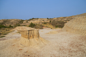 Petrified Forest at Theodore Roosevelt National Park, North Dakota