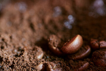 coffee beans macro