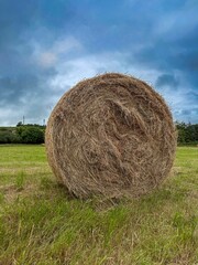 

Large round hay bale in a rural agricultural field with freshly cut grass. Overcast summer sky in the background. Countryside landscape representing harvest, farming and nature.
