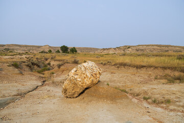 Petrified Forest at Theodore Roosevelt National Park, North Dakota
