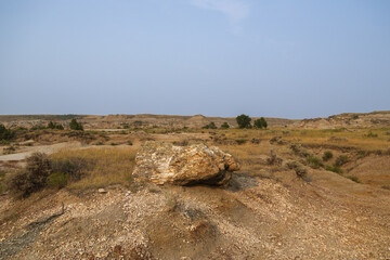Petrified Forest at Theodore Roosevelt National Park, North Dakota