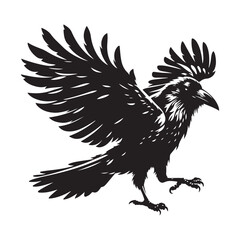 black and white rooster