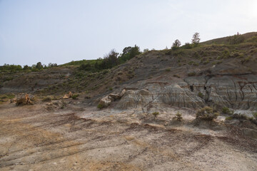 Petrified Forest at Theodore Roosevelt National Park, North Dakota