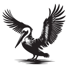 vector illustration of a pelican