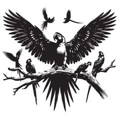 Fototapeta premium eagle in flight
