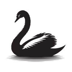 black swan vector illustration