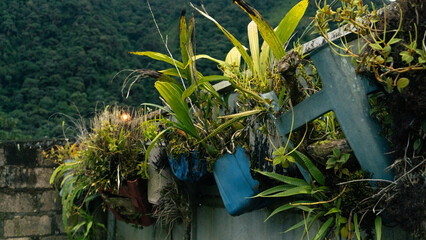 Recycled plastic containers used as pots with green plants attached to metal fence, with forested...