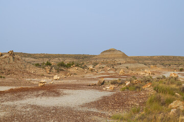 Petrified Forest at Theodore Roosevelt National Park, North Dakota