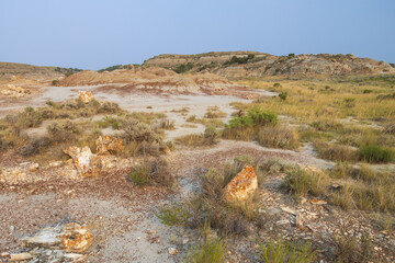 Petrified Forest at Theodore Roosevelt National Park, North Dakota