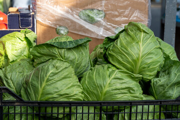 A variety of fresh green cabbage is arranged in a market stall, showcasing their crisp leaves and...