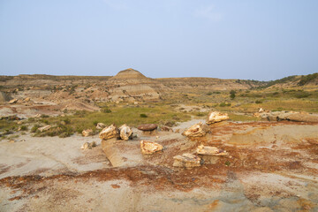 Petrified Forest at Theodore Roosevelt National Park, North Dakota