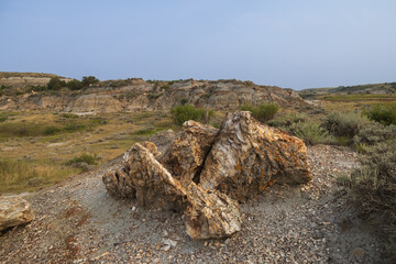 Petrified Forest at Theodore Roosevelt National Park, North Dakota