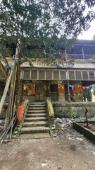 abounded house in the forest