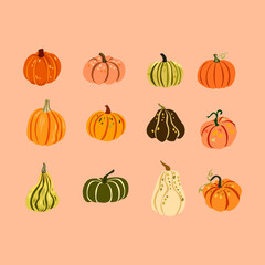 Cute Pumpkin and Gourd Clipart Set for Autumn and Thanksgiving in Cozy Earthy Tones