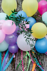 Colorful balloons and greenery create a festive atmosphere for a celebration in a natural setting