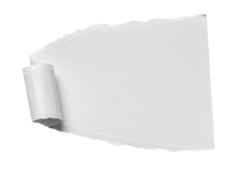 A blank white torn paper with a curled edge isolated on transparent background
