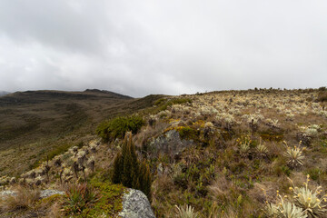 sumapaz paramo landscape viewed from a big rock viewpoint with cloudy grey sky and rocky mountains...