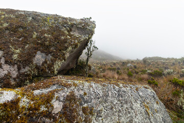 mossy old monolith with misty paramo ecosystem landscape at background