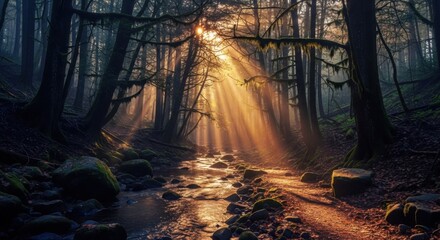 Mystical Forest Stream Bathed in Golden Sunbeams and Fog