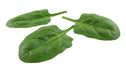 Three fresh spinach leaves elegantly arranged on a stark black backdrop