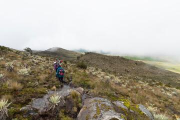 people hiking in middle of paramo ecosystem mountains in south america with foggy mountains at background