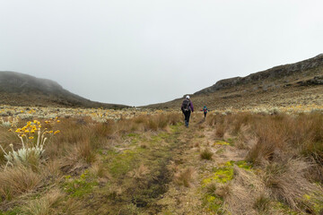 people doing hiking in middle of a paramo ecosystem in colombia