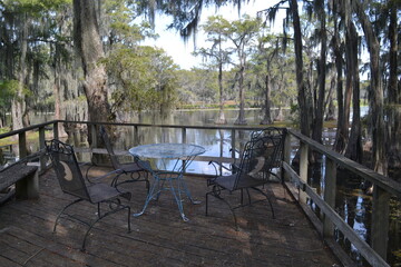 Outdoor Seating on a Swamp Terrace Surrounded by Cypress Trees and Spanish Moss, Caddo lake, Texas