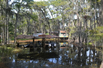 Rustic dock on the swamp of Caddo lake, Texas
