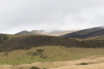 loudy mountains with paramo ecosystem and grey sky in colombia