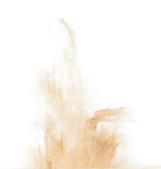 Small Fine size Sand flying explosion, Golden grain wave explode. Abstract cloud fly. Yellow colored sand splash throwing in Air. White background Isolated high speed shutter, throwing freeze stop
