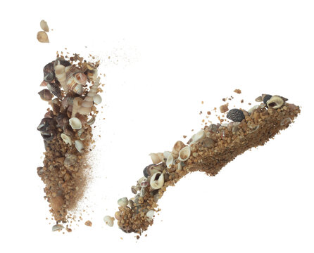 Seashell sand fall splashing in air. sea shell explosion flying, sand abstract cloud fly. Many Seashell scatter in many group. White background isolated high speed shutter freeze motion