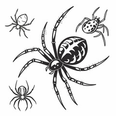 Black spider illustrations with detailed legs and patterned bodies arachnid insect