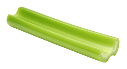 Fresh green celery stalk isolated on a black background in a close up shot