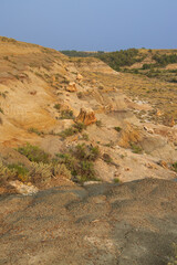 Petrified Forest at Theodore Roosevelt National Park, North Dakota