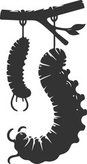 Insect vector nature bug animal silhouette black illustration drawing