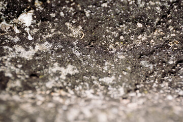 Rock Aphanitic Texture