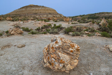 Petrified Forest at Theodore Roosevelt National Park, North Dakota