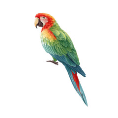 Obraz premium A vibrant and colorful macaw perched gracefully. showcasing its stunning plumage with a backdrop of soft. blurred greenery. ideal for wildlife enthusiasts and nature-themed projects