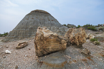 Petrified Forest at Theodore Roosevelt National Park, North Dakota