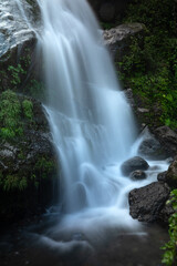 waterfall in the forest