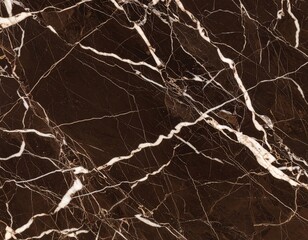 Patterned natural of dark brown marble texture for design 