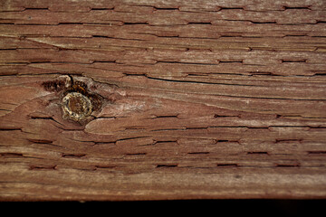 old wood texture