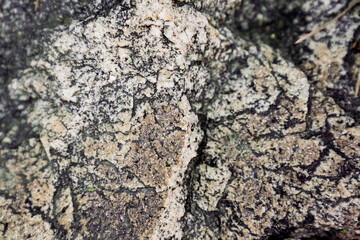 Rock Aphanitic Texture