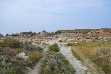 Petrified Forest at Theodore Roosevelt National Park, North Dakota