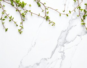 Obraz premium Vector marble pattern with white and black cracks Transparent