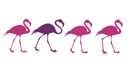 Obraz premium Four colorful flamingos in silhouette walking against a black background